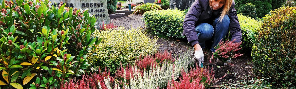 Grabpfleger & Friedhofsgärtner in Liederbach